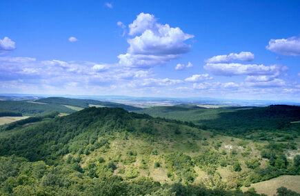 A legjobb vendéglátások Nógrádban