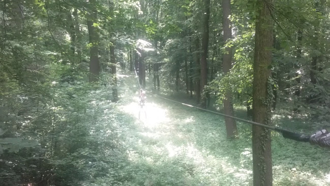 Opinii despre Mecsek Pihenő în Pécs - Vendéglátás