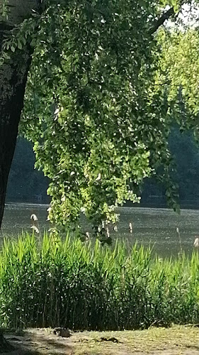 Hullámtér Vendéglő - Mártély