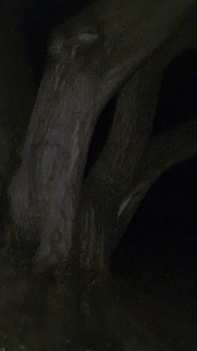 Comentarii opinii despre Faceroom Étterem