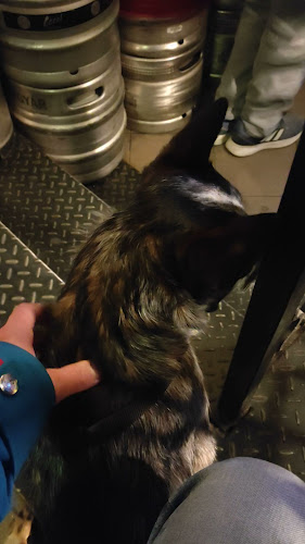 Keleti Waiting Room - Budapest