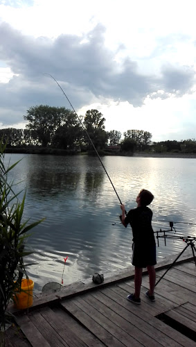 Opinii despre Tópart Grill în Őrbottyán - Vendéglátás