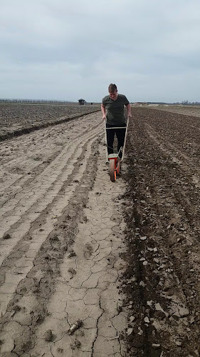 Starbucks Árkád Szeged - Szeged