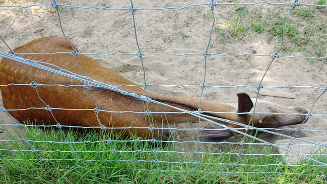 Kaszó, Kaszó puszta 12, 7564