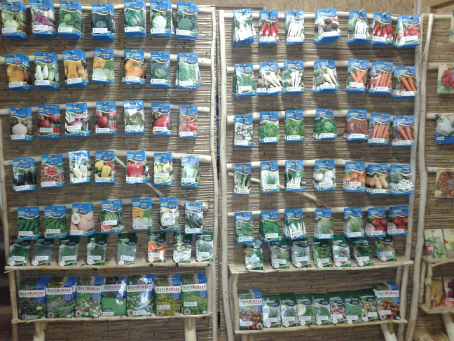 Opinii despre Biokiskert în Budapest - Vendéglátás