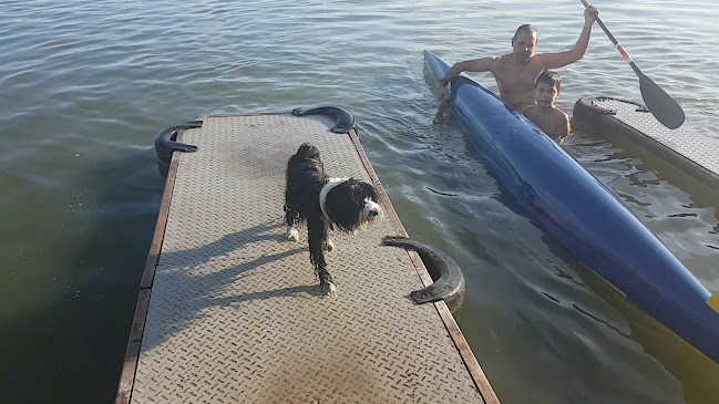 FröccsTerasz - Vendéglátás