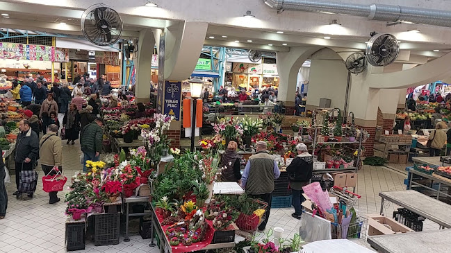 Comentarii opinii despre Lehel Csarnok