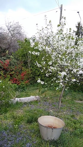 Bábelék Önkiszolgáló Étterem - Vendéglátás