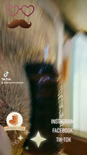 Kiss-Bereczki Kürtőskalács Hajdúböszörmény - Vendéglátás