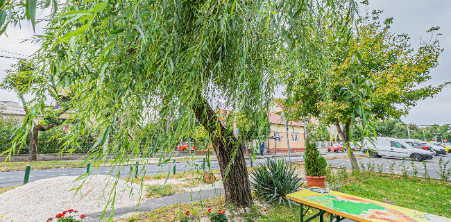 Carpathian Street Food - Budapest