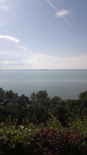 Opinii despre Világosi Étterem Pizzéria în Balatonvilágos - Vendéglátás