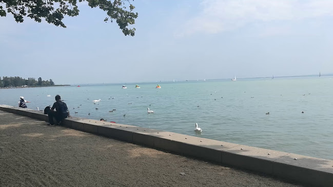 Borház és Pizzaház