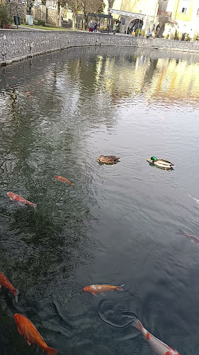 Tópart Bisztró - Tapolca