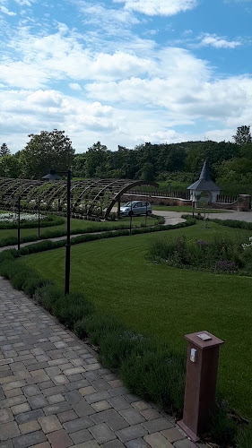 Opinii despre Fiastyúk Udvarház - étterem, szállás, biofarm în Csór - Vendéglátás