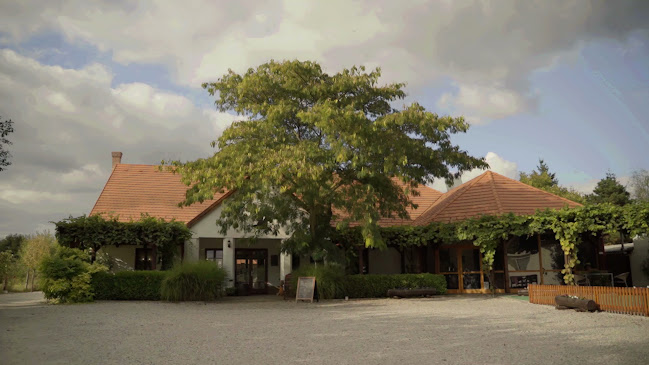 Opinii despre Kassai Fogadó în Kaposmérő - Vendéglátás