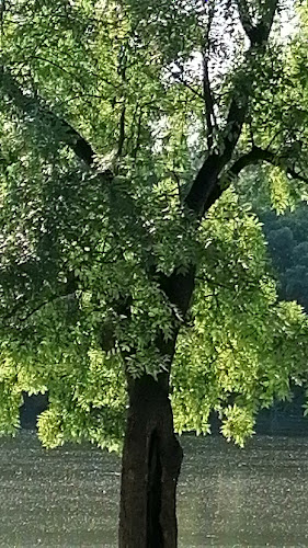 Hullámtér Vendéglő - Vendéglátás