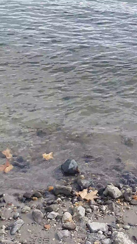 Nagymaros, Hajóállomás, 2626