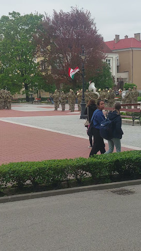 Opinii despre Placc în Nagykanizsa - Vendéglátás