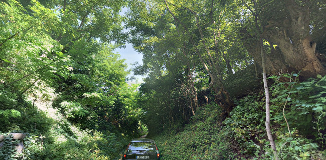 Opinii despre Inhauser Pincészet & Restaurant & Guesthouse în Somlószőlős - Vendéglátás