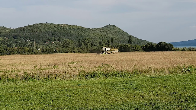 Nagyi Kertje Étterem és Teaház - Aszófő