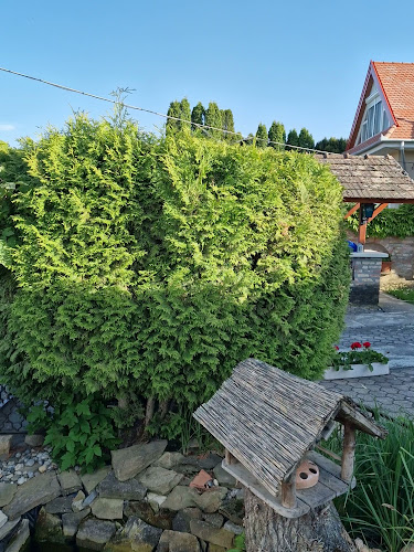 János Pince Étterem - Balatonberény