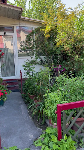 Opinii despre Szőlőskert borozó în Budapest - Vendéglátás