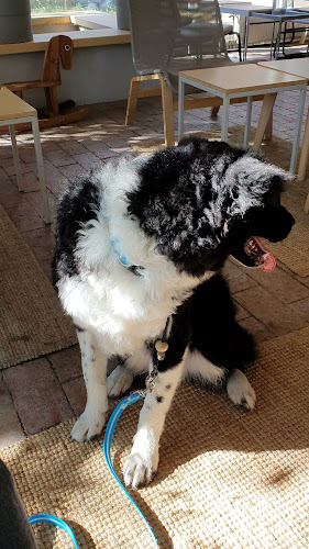 Freyja - the croissant story (Buda) - Vendéglátás