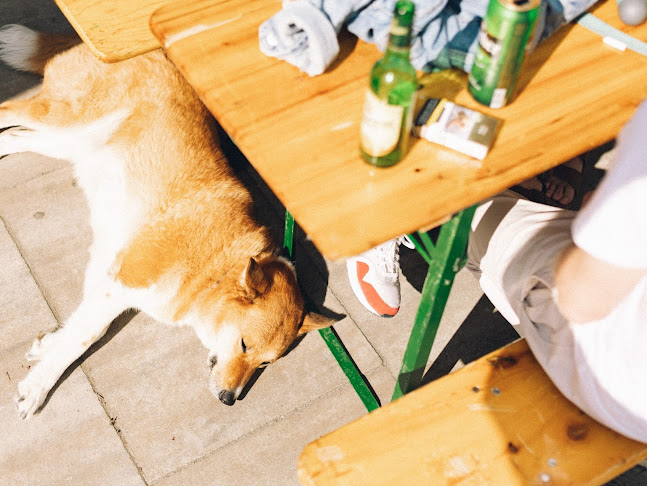 Opinii despre EASY Art Space în Budapest - Vendéglátás