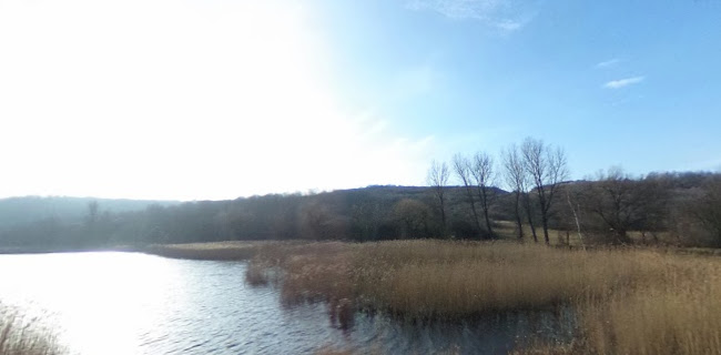 Opinii despre Üvegtigris, a büfé în Tinnye - Vendéglátás