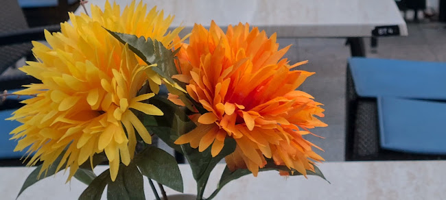 Hévíz, Rákóczi u. 17, 8380