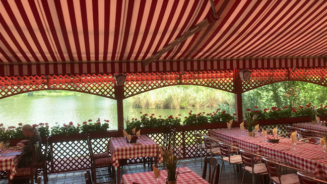 Opinii despre Csali Csárda în Pilisszentiván - Vendéglátás