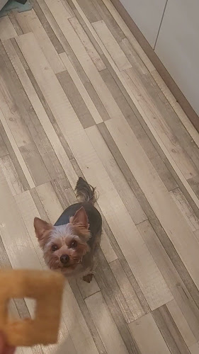 The Box Donut & Coffee Szombathely - Vendéglátás