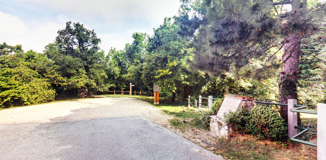 Opinii despre Kilátó Kávézó în Budapest - Vendéglátás