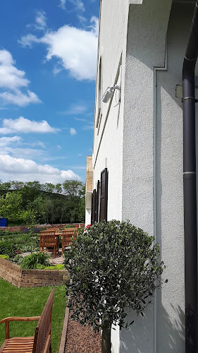 Comentarii opinii despre Fiastyúk Udvarház - étterem, szállás, biofarm