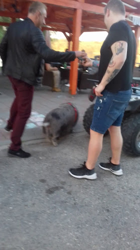 Opinii despre Szél Büfé în Százhalombatta - Vendéglátás