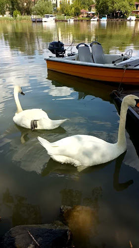 Budapest, Kolozsvári u. 48, 1213