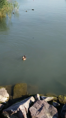 Liget Kávéház és Étterem