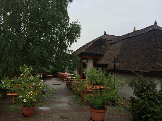 Autós Pihenő - Vendéglátás