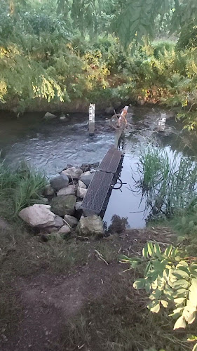 Stettni Klub & Bisztró - Vendéglátás