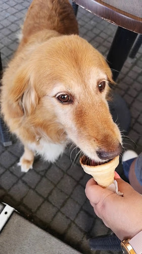 SzilVanilla Sütibár - Cukrászda és Kávézó, Tortarendelés
