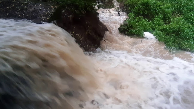 Tardos, Templom tér 14, 2834