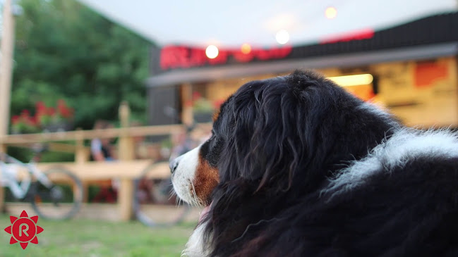 Opinii despre REINPOLD KOLBice - Pilisvörösvár în Pilisvörösvár - Vendéglátás