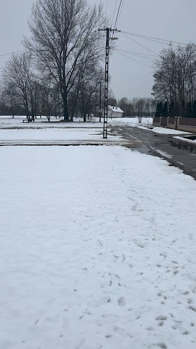 Noon Baghi Cafe & Restaurant - Vendéglátás