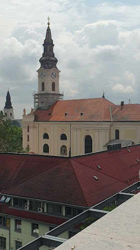 Comentarii opinii despre KFC Kecskemét Malom Központ