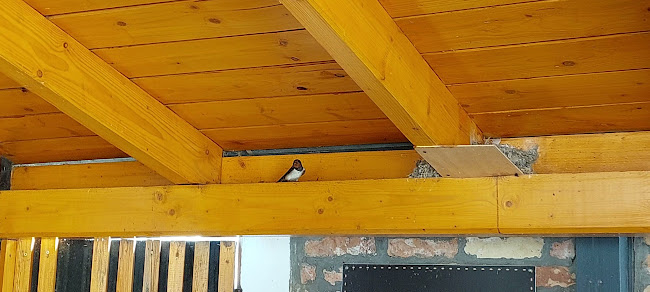 Rév Büfé - Vendéglátás