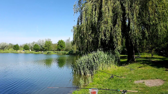 Opinii despre Stettni Klub & Bisztró în Hegyeshalom - Vendéglátás