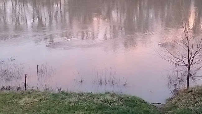 Belvárosi Pékség Bt.