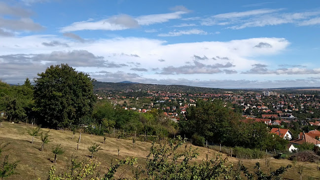 Pécs, Felsőhavi dűlő 6, 7627