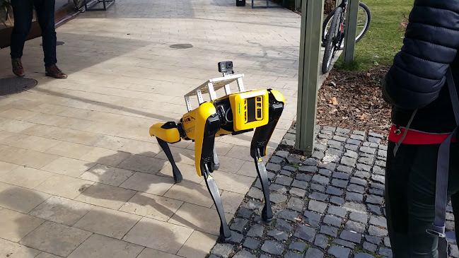 Comentarii opinii despre Pazar Coffee Company Balatonfüred