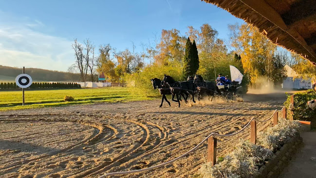 Lázár Lovaspark - Domony